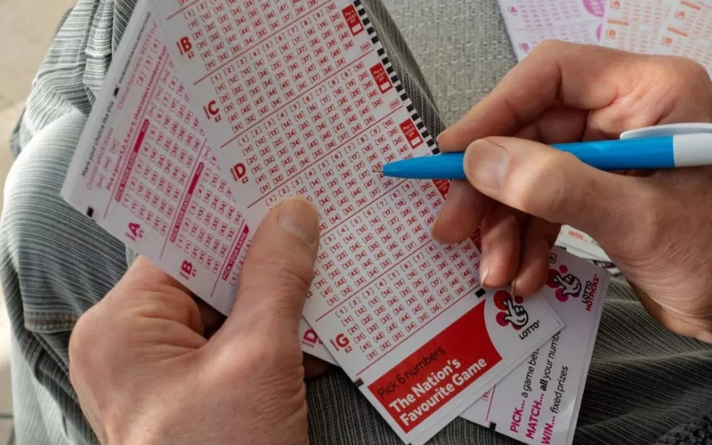 lottery sambad today​ at Malamaal Result Portal body image