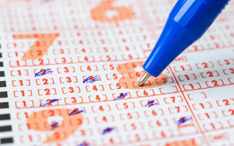 lottery sambad today​ at Malamaal Result Portal featured image